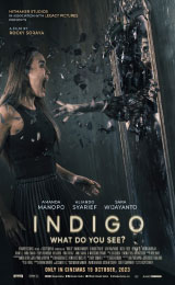 Indigo (2023) เธอเห็นอะไร