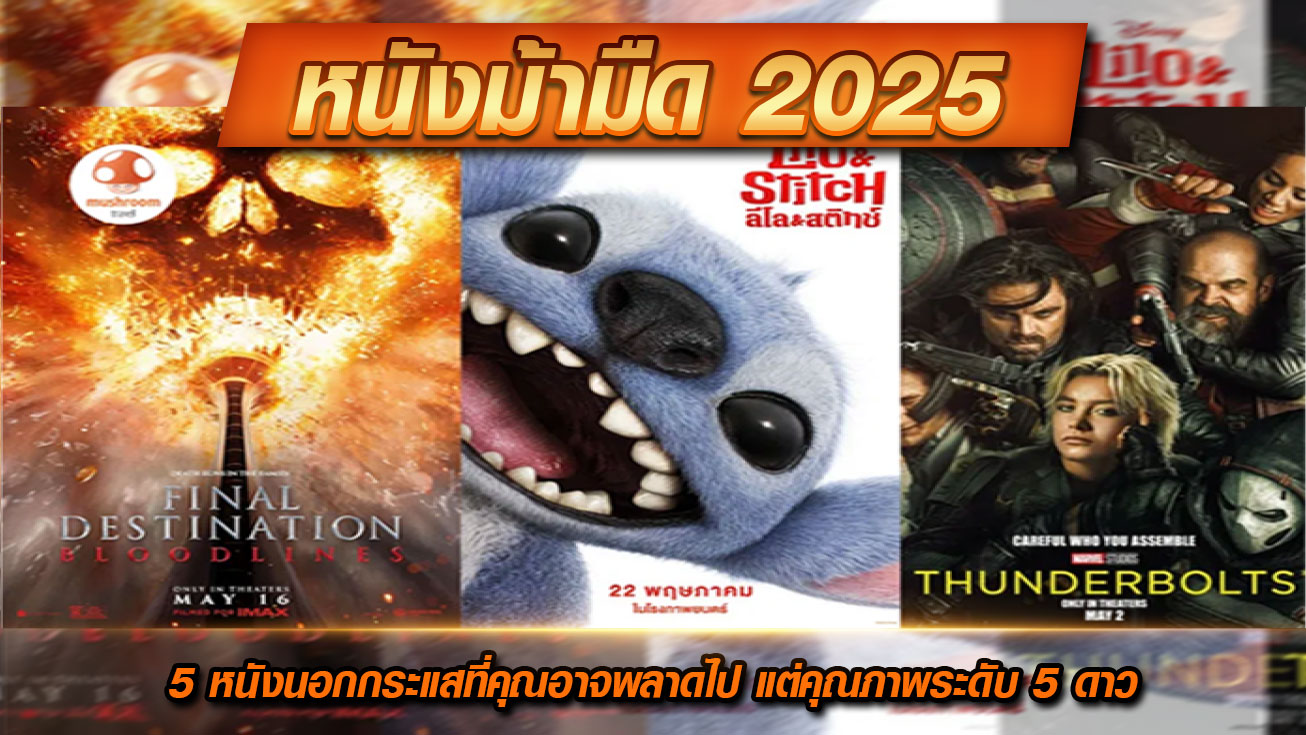 หนังม้ามืด 2025 5 หนังนอกกระแสที่คุณอาจพลาดไป แต่คุณภาพระดับ 5 ดาว (หาดูย้อนหลังได้แล้ว)