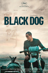 Black Dog (2024) สี่ขาหัวใจไม่ดำ